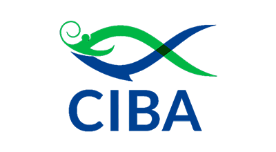 RAMANS CONSTRUCTIONS